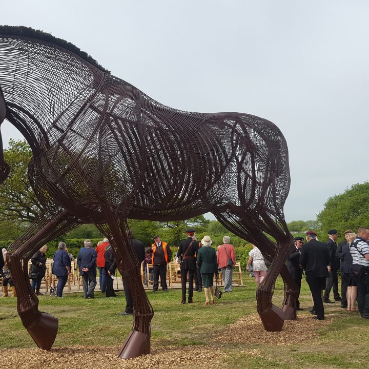 War Horse – A Place of Peace to be Together