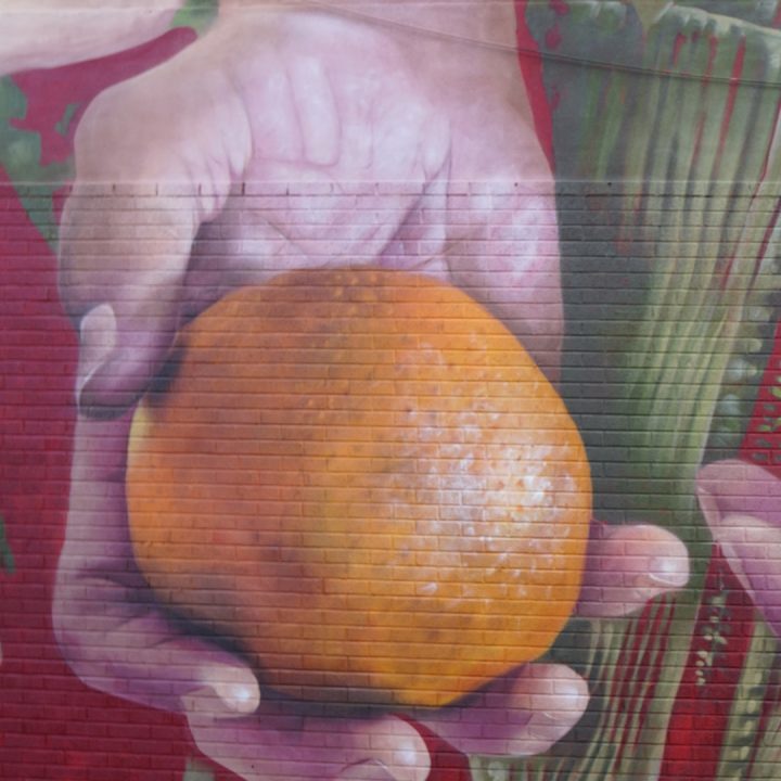 ‘Local’ by Peachzz