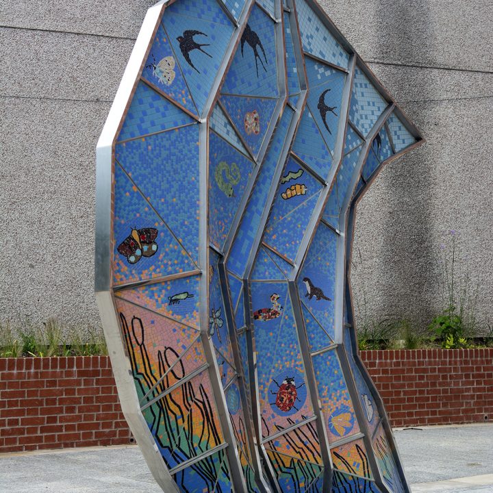 Cuckoo Boat Sail