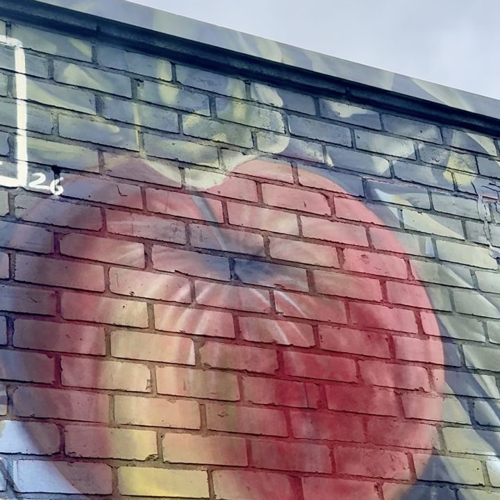 Made You Look